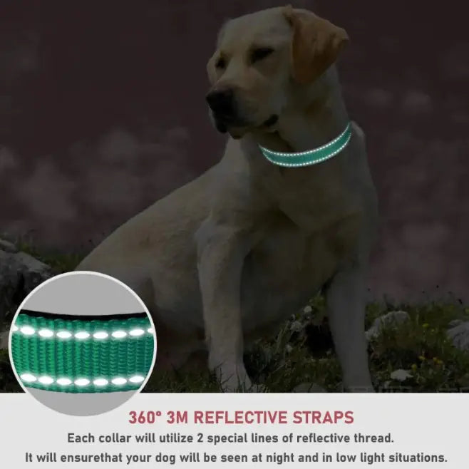 Adjustable Chest Strap Dog Harness - Reflective Nylon Collar (S-XL)