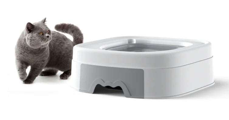 Cat Toilet Training Kit - Litter Box to Toilet Trainer System