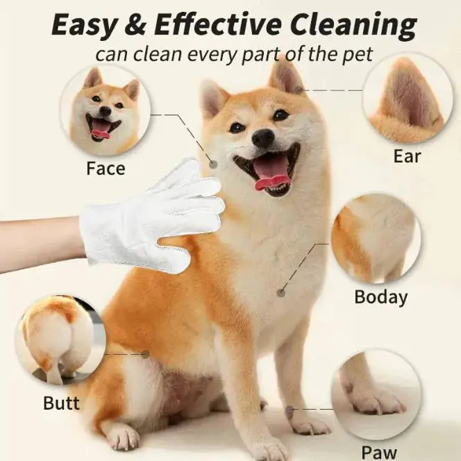 Pet Cleaning Gloves & Wipes - Disposable Grooming Kit for Dogs & Cats