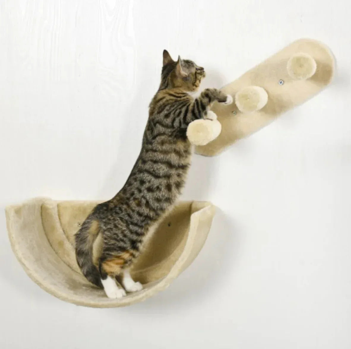 Cat Wall Shelves Set - 4-Piece Furniture with Hammock, Platforms & Scratching Post - TheHoomy