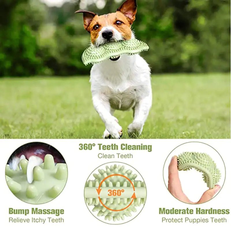 TheHoomy Bite - Resistant Dog Chew Toy Ball - TPR Teeth Cleaning Stick for Interactive Play - TheHoomy